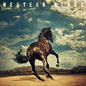 Bruce Springsteen / Western Stars - CD (Used) - www.Shopthatapp.com