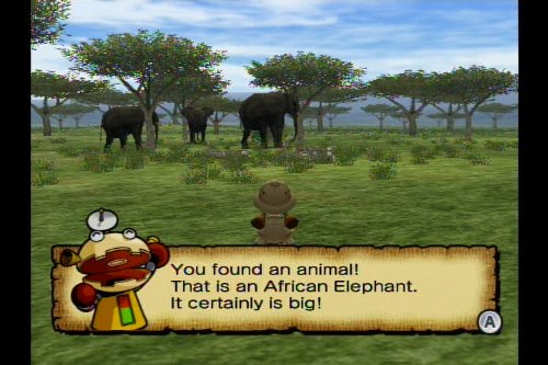 Animal Kingdom: Wildlife Expedition