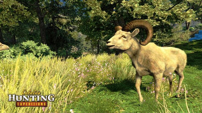 Cabela's hunting Expeditions (usagé) - www.Shopthatapp.com