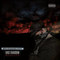 Bad Shadow / Rualité - CD - www.Shopthatapp.com