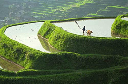 Chine sauvage [Blu-ray] - www.Shopthatapp.com