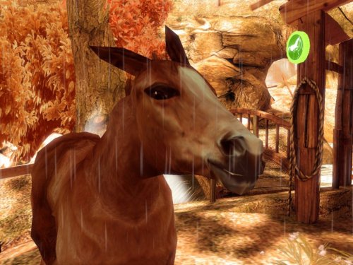 ALEXANDRA LEDERMANN 8 : LES SECRETS DU HARAS - www.Shopthatapp.com