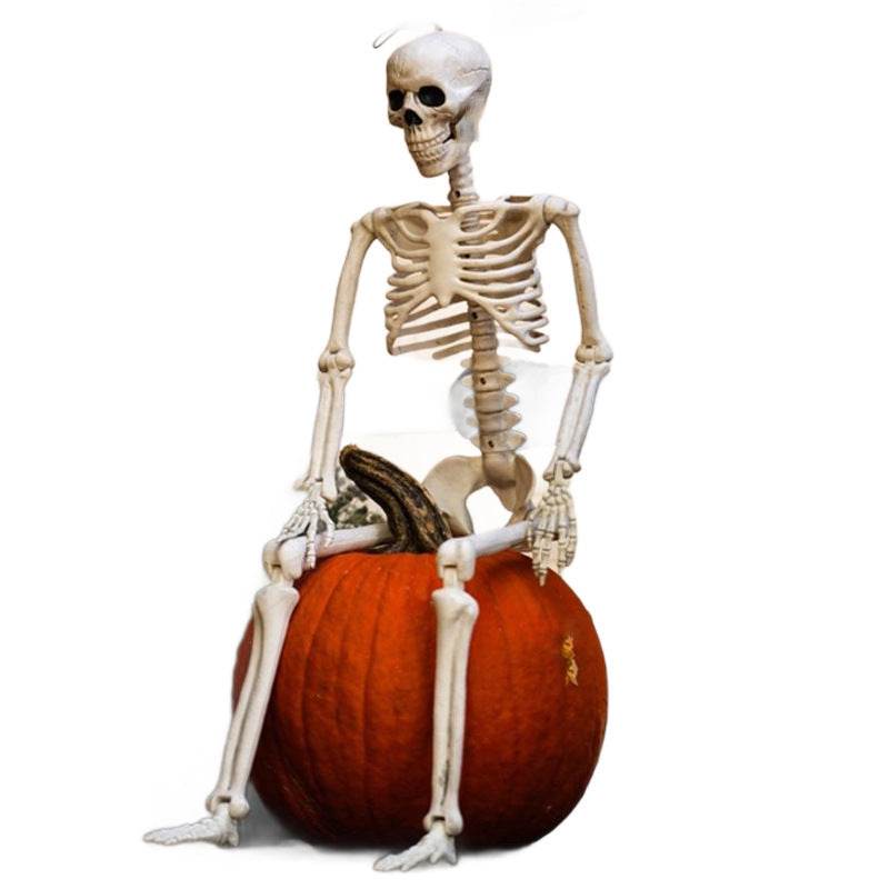 Halloween Movable Joint Skeleton Plastic Model 90cm Party Outdoor Decoration Props - www.Shopthatapp.com