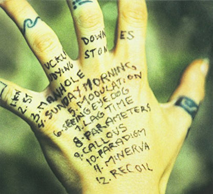 Ani DiFranco / Knuckle Down - CD (Used)