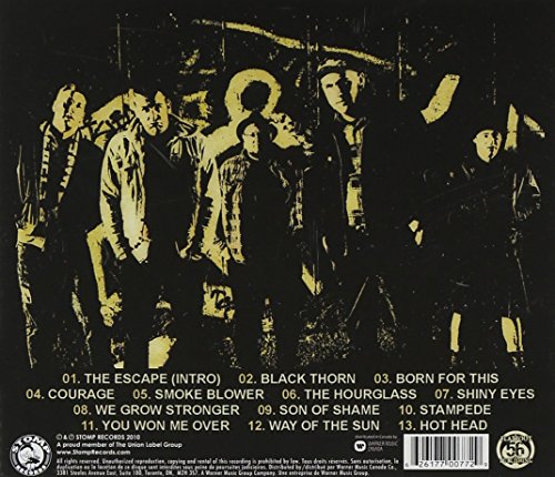 Black Thorn - www.Shopthatapp.com