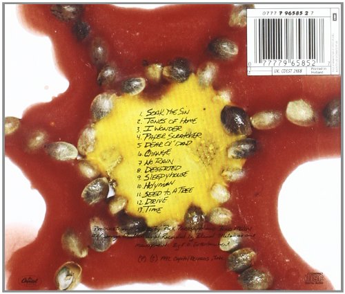 Blind Melon / Blind Melon - CD (Used) - www.Shopthatapp.com
