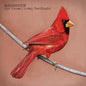 Alexisonfire/ Old Crows/Young Cardinals - CD (Used) - www.Shopthatapp.com