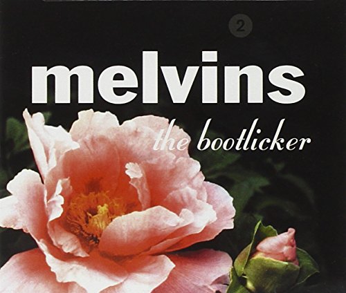 Bootlicker - www.Shopthatapp.com