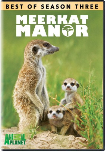 Best of Meerkat Manor / Season 3 - DVD - www.Shopthatapp.com