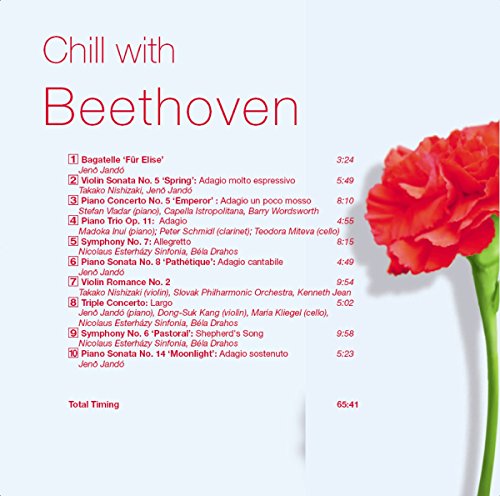 Chill With Beethoven - www.Shopthatapp.com