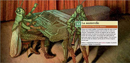 Belles bestioles: Initiation à la musique classique - CD/Livre - www.Shopthatapp.com