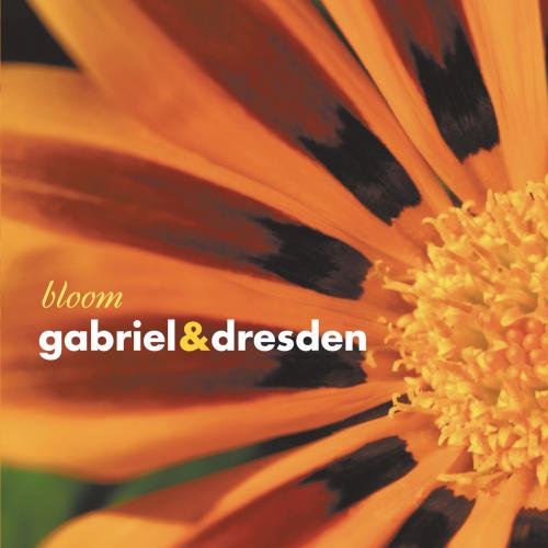 Bloom - www.Shopthatapp.com