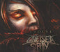 Chelsea Grin / Evolve Ep - CD (Used) - www.Shopthatapp.com