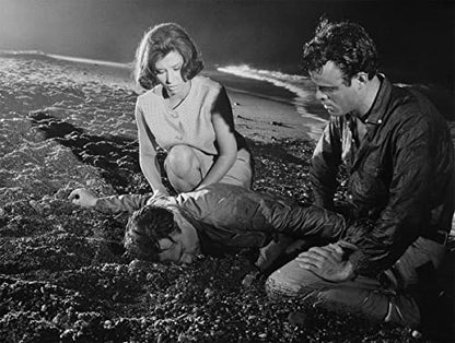 Chasse à la Mafia [Combo Blu-Ray + DVD] - www.Shopthatapp.com