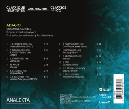 Adagio: a Consideration of a Serious Matter