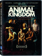 Animal Kingdom - DVD (Used)