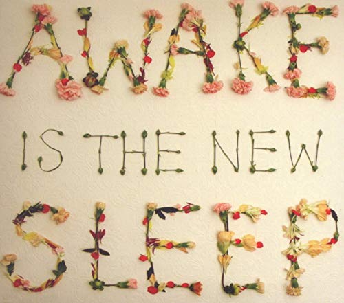 Ben Lee / Awake Is The New Sleep - CD (Used) - www.Shopthatapp.com