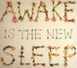 Ben Lee / Awake Is The New Sleep - CD (Used) - www.Shopthatapp.com