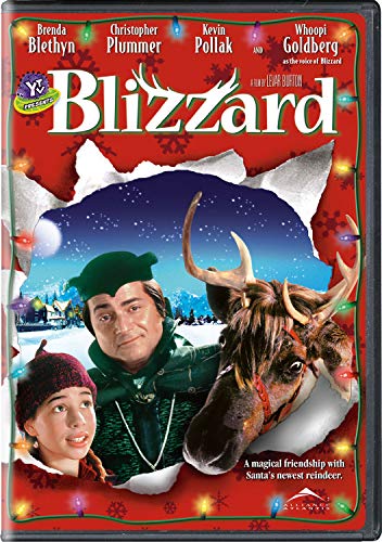 Blizzard - DVD (Used) - www.Shopthatapp.com