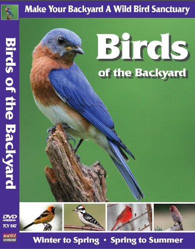 Birds of the Backyard [Import] - www.Shopthatapp.com