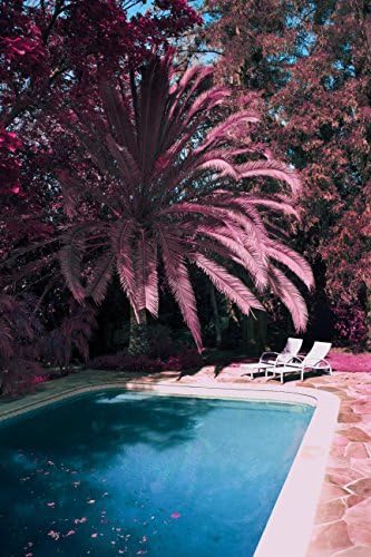 Cageless - www.Shopthatapp.com