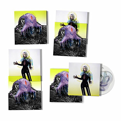 Bjork's Vulnicura - www.Shopthatapp.com