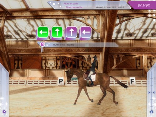 ALEXANDRA LEDERMANN 8 : LES SECRETS DU HARAS - www.Shopthatapp.com