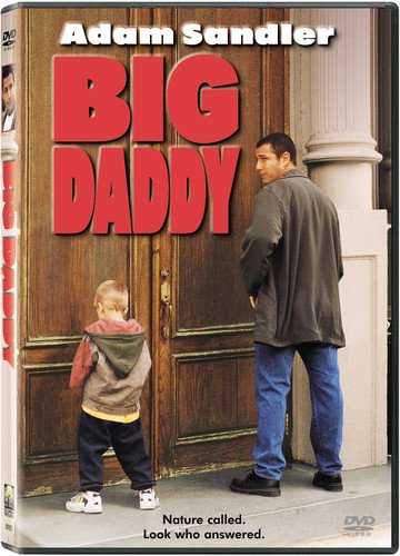 Big Daddy - DVD (Used) - www.Shopthatapp.com