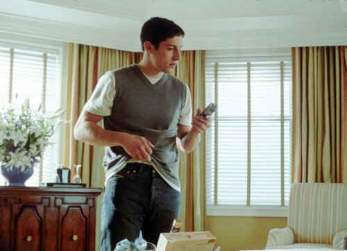 American Wedding (Extended Unrated Party Edition) (Full Screen) - DVD - www.Shopthatapp.com