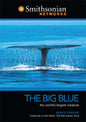 BIG BLUE - www.Shopthatapp.com