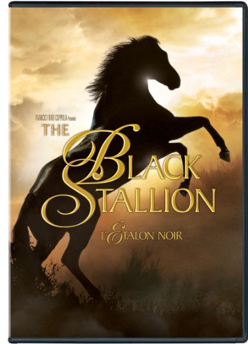 Black Stallion - www.Shopthatapp.com