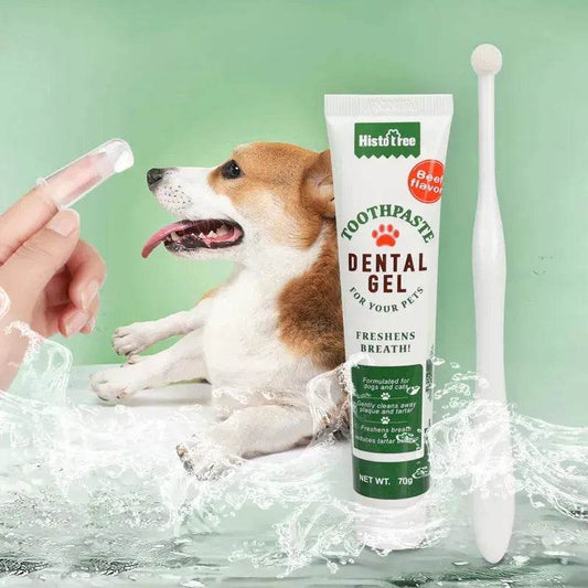 Buy 3pcs Pet Oral Care Kit Dog Cat Dental Care - www.Shopthatapp.com