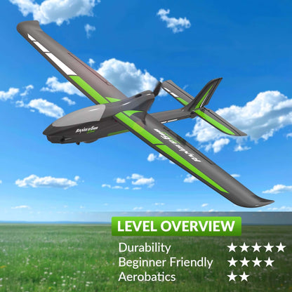 Ranger 600 RC-Flugzeug – 4-Kanal, 40 Minuten Flugzeit, Doppelbatterien, anfängerfreundlich