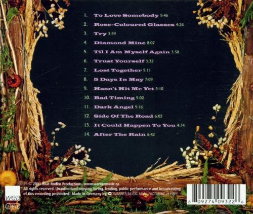 Blue Rodeo / Greatest Hits Vol. 1 - CD (Used) - www.Shopthatapp.com