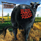 Blink 182 / Dude Ranch - CD - www.Shopthatapp.com