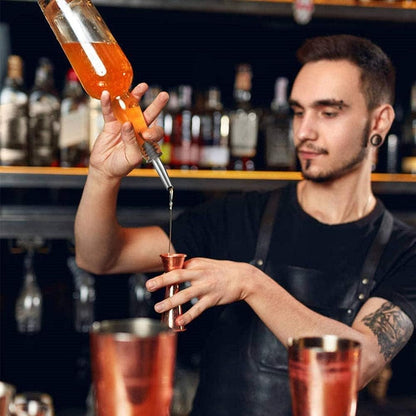6 verseurs pour bouteilles d'alcool, verseur pour bouteilles d'huile, verseur pour boissons, spiritueux, acier inoxydable