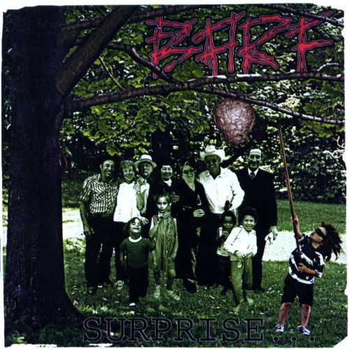 B.A.R.F. / Surprise - CD (Used) - www.Shopthatapp.com
