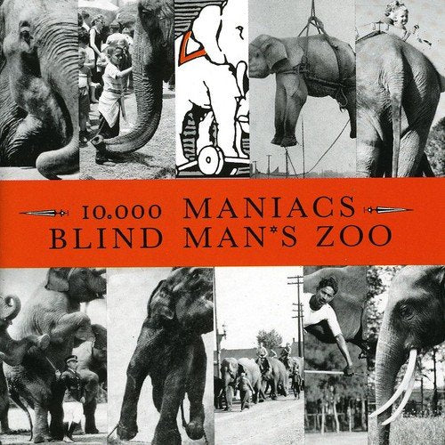 Blind Man's Zoo - www.Shopthatapp.com