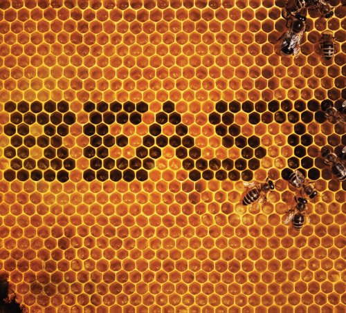 Beast / Beast - CD (Used) - www.Shopthatapp.com