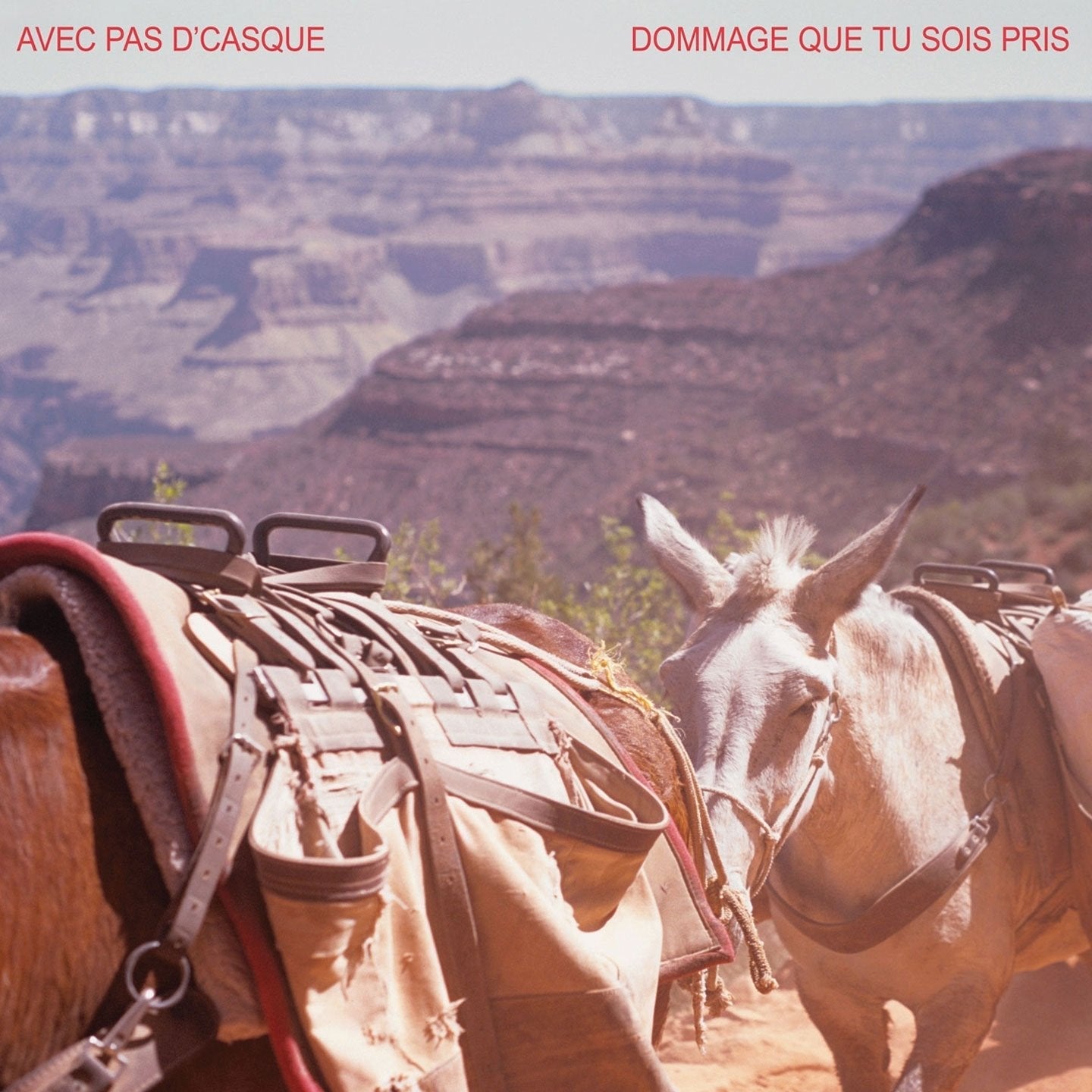 Avec pas d'casque / Dommage que tu sois pris (EP) - CD - www.Shopthatapp.com