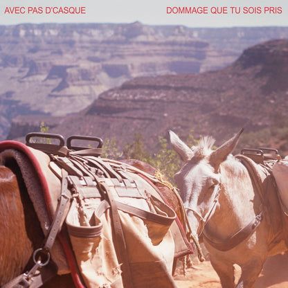 Avec pas d'casque / Dommage que tu sois pris (EP) - CD - www.Shopthatapp.com