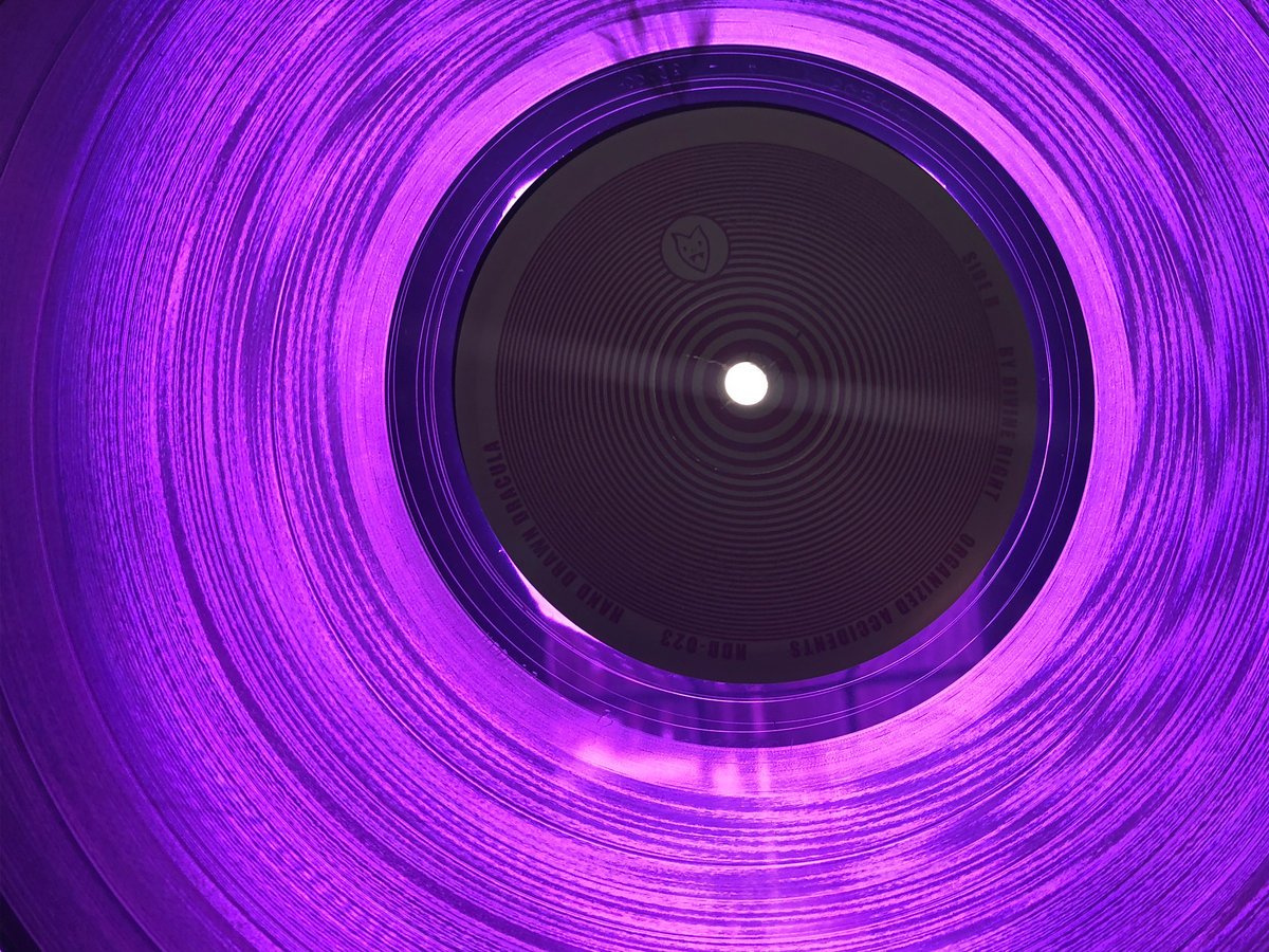 By Divine Right / Organized Accidents - Purple LP Vinyl - www.Shopthatapp.com