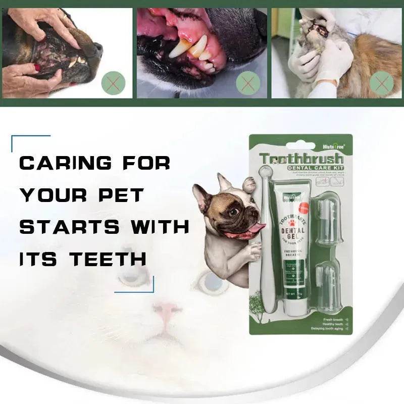 Buy 3pcs Pet Oral Care Kit Dog Cat Dental Care - www.Shopthatapp.com