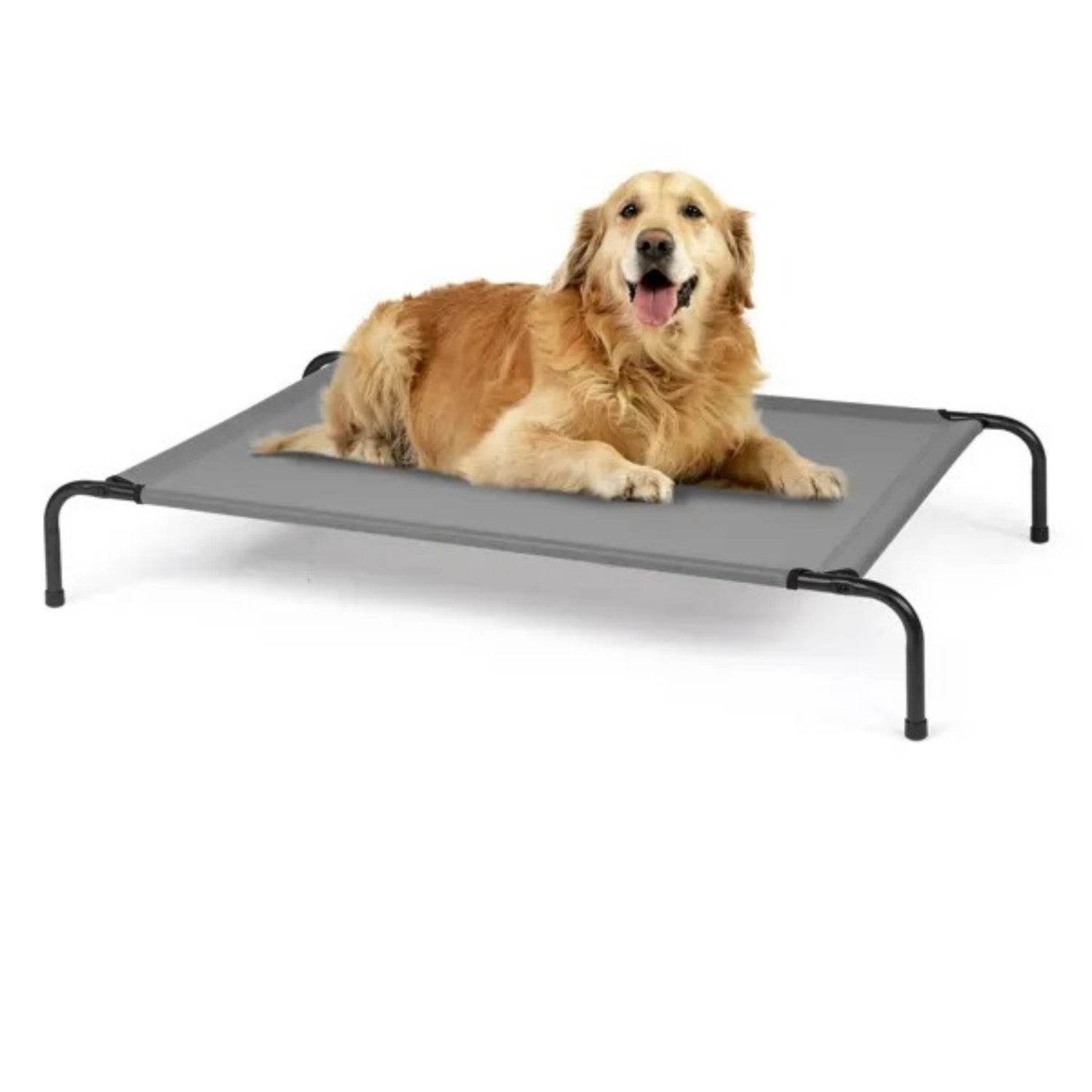 50D X 31W X 8H Dog Bed - www.Shopthatapp.com
