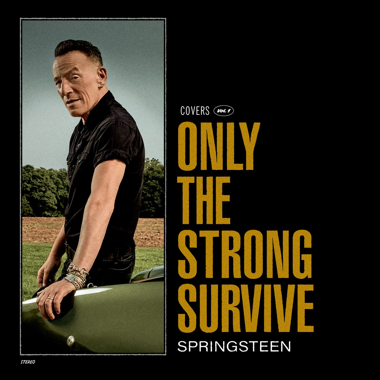 Bruce Springsteen / Only The Strong Survive - CD - www.Shopthatapp.com