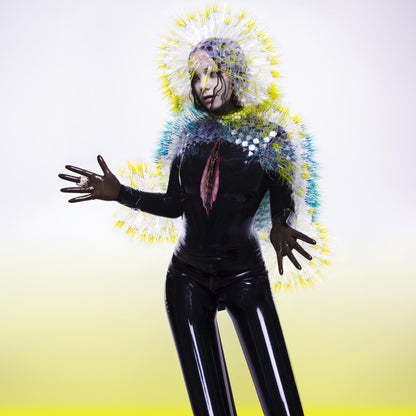 Bjork's Vulnicura - www.Shopthatapp.com