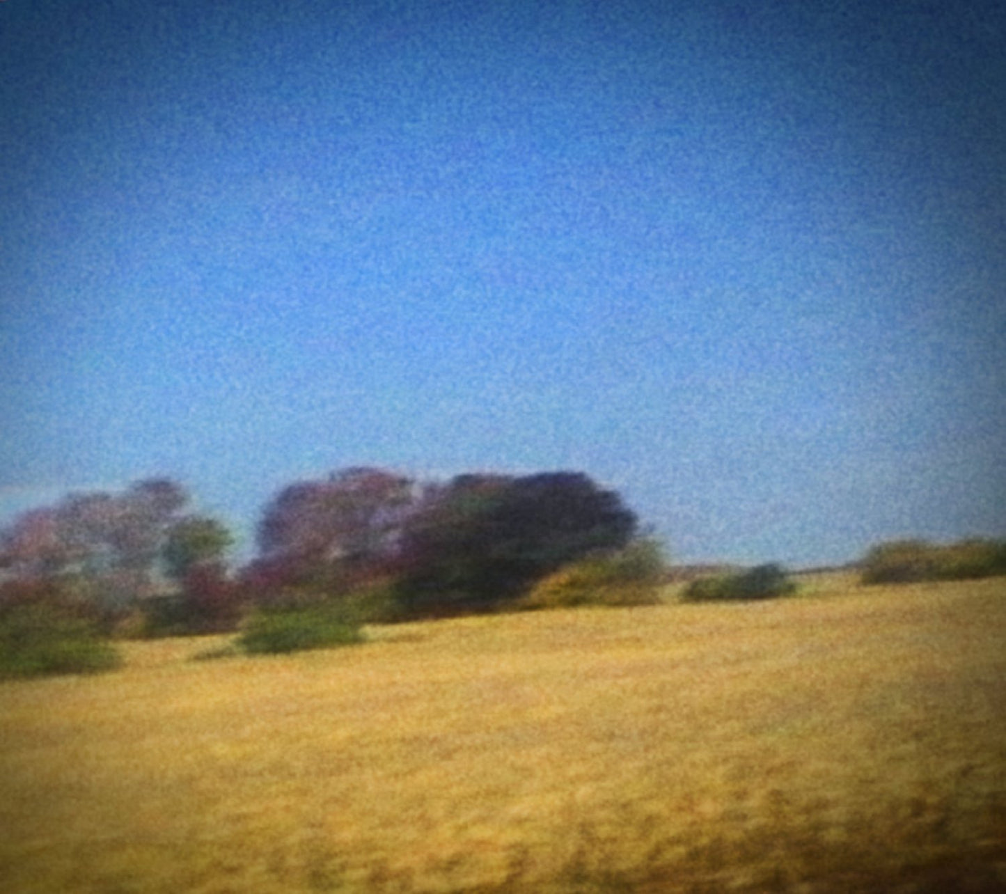 SUN KIL MOON / Benji - CD (Used) - www.Shopthatapp.com