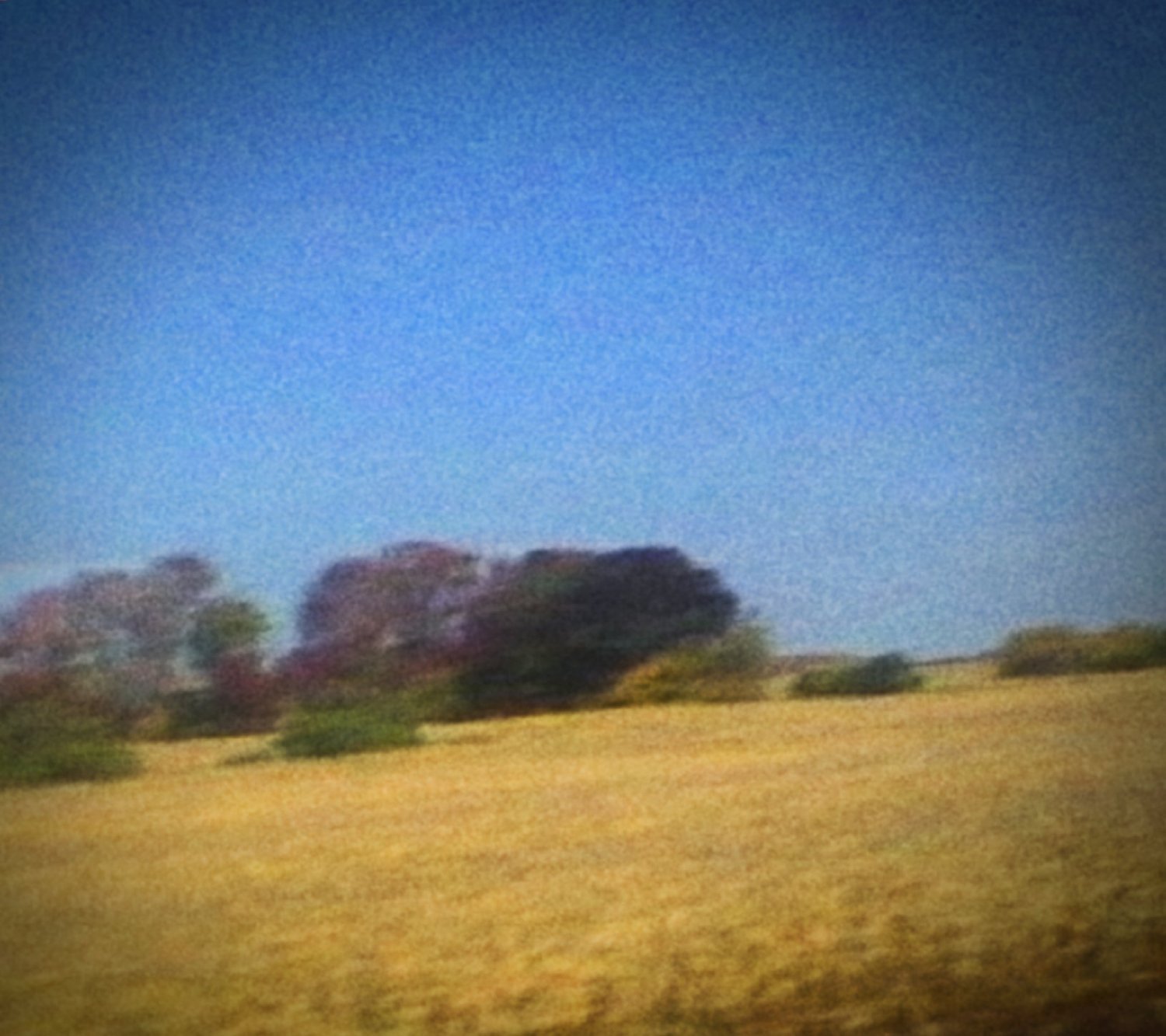 SUN KIL MOON / Benji - CD (Used) - www.Shopthatapp.com