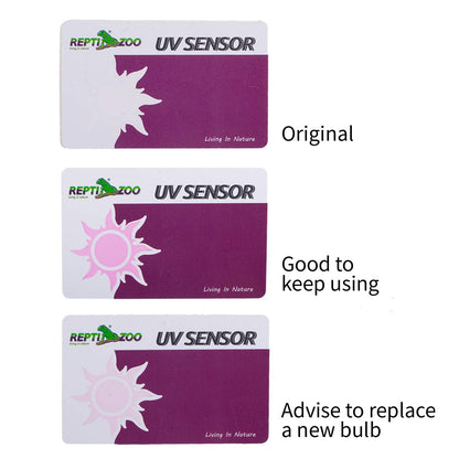 Carte de test de capteur UV REPTIZOO 2 pièces