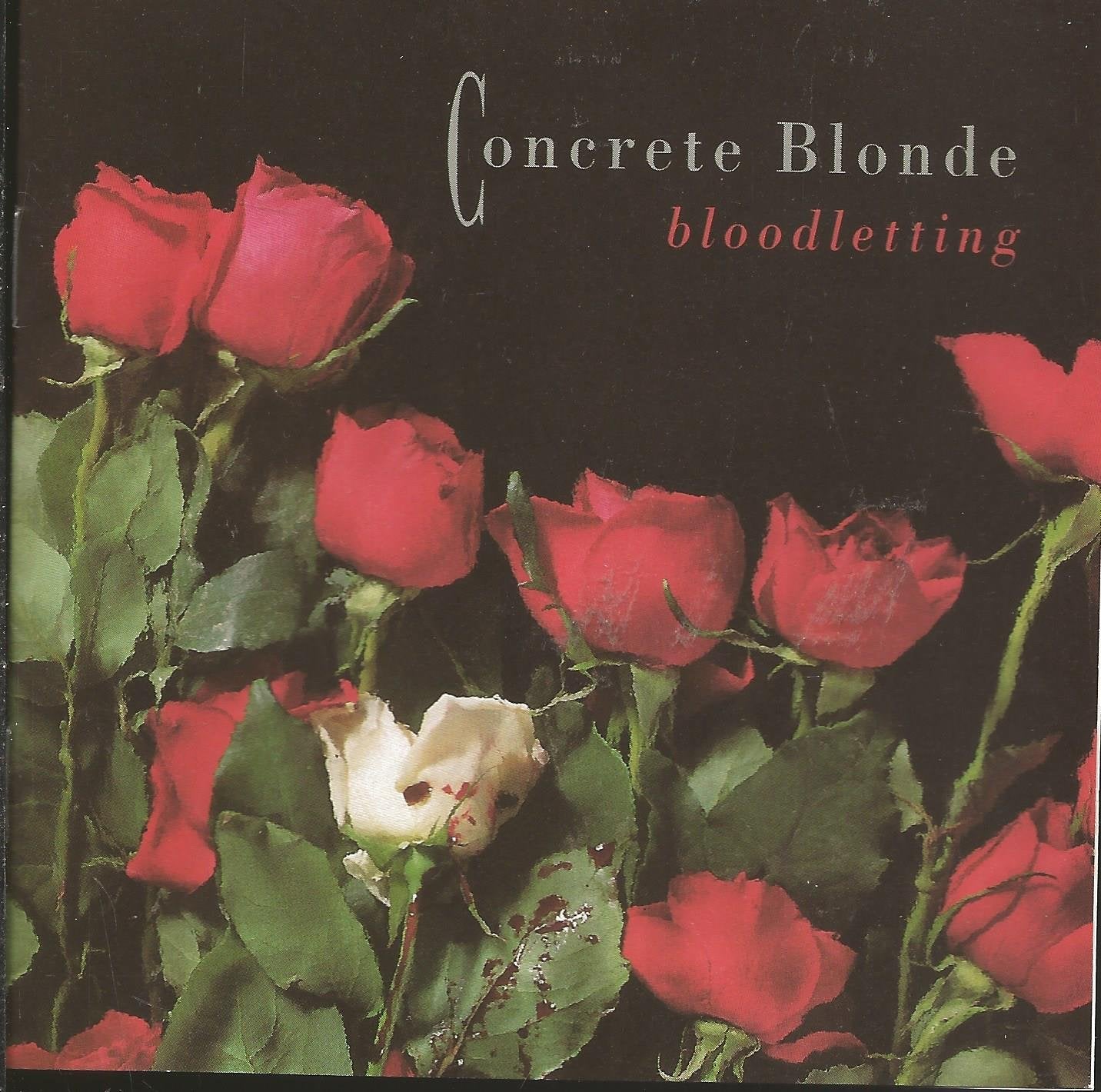 Bloodletting - www.Shopthatapp.com